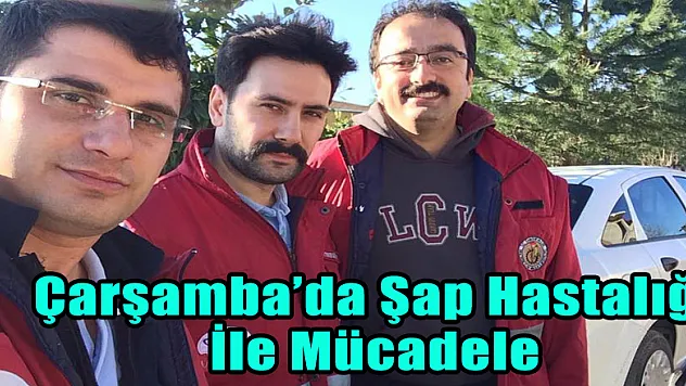 Çarşamba'da Şap Hastalığı İle Mücadele
