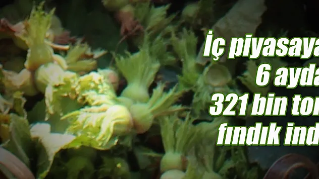 İç piyasaya 6 ayda 321 bin ton fındık indi
