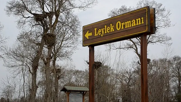 'Leylek Ormanı'nın konukları gelmeye başladı