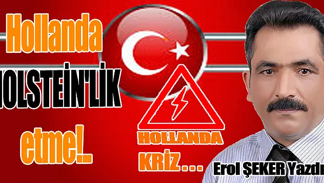 Hollanda HOLSTEİN'LİK ETME!..
