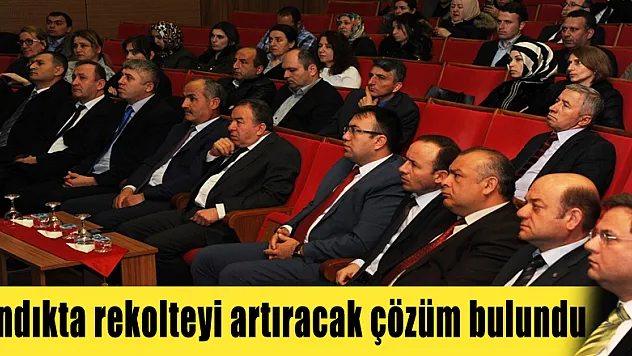  Fındıkta rekolteyi artıracak çözüm bulundu