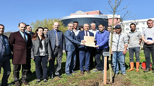 OMÜ'de fidanlar toprak ile buluşuyor