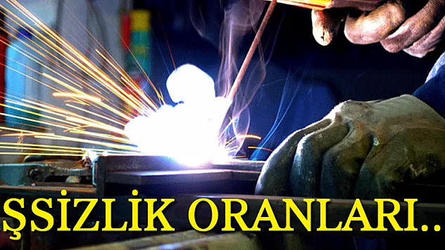 İşsizlik Ocak'ta arttı