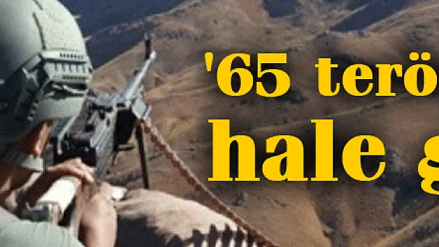 İçişleri Bakanlığı: '65 terörist etkisiz hale getirildi'