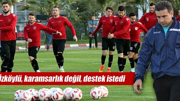 Özköylü, karamsarlık değil, destek istedi