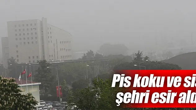 Pis koku ve sis şehri esir aldı