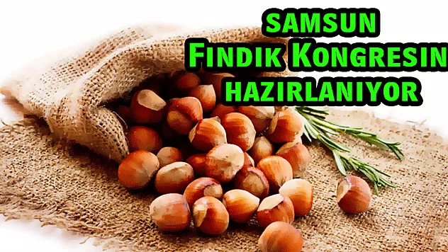 Samsun Fındık Kongresine hazırlanıyor