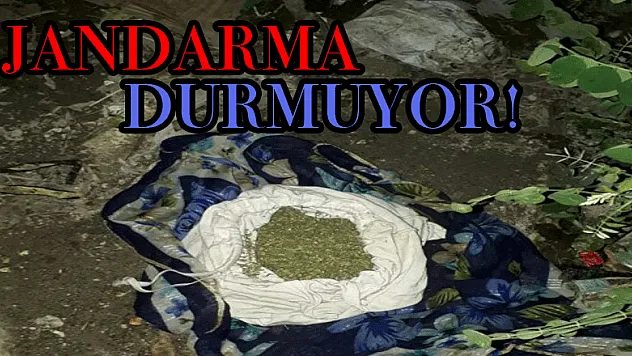 Jandarma durmuyor: 250 Gr. Esrar, 4 Av tüfeği ele geçirildi