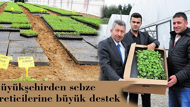 Büyükşehirden sebze üreticilerine büyük destek