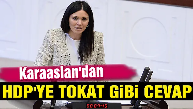 Karaaslan'dan HDP'ye tokat gibi cevap
