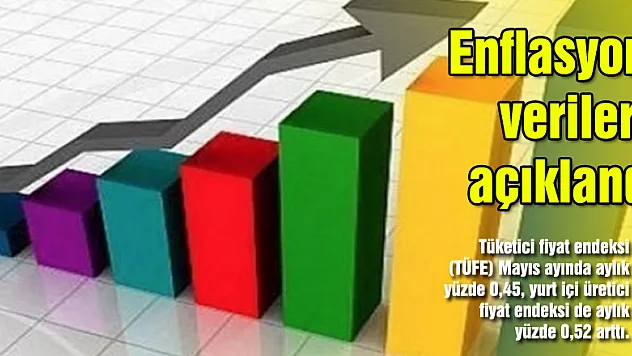 Enflasyon verileri açıklandı