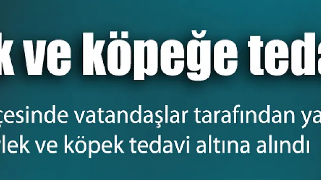 Yaralı leylek ve köpeğe tedavi