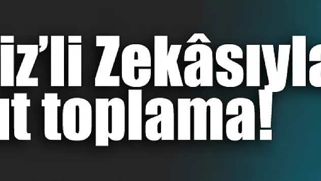 Karadeniz'li Zekâsıyla pratik dut toplama!