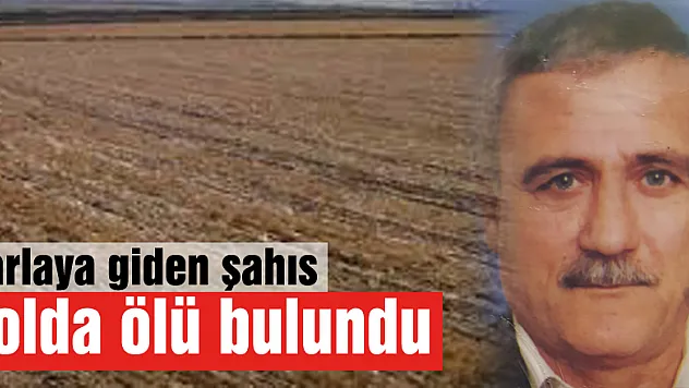 Tarlaya giden şahıs yolda ölü bulundu