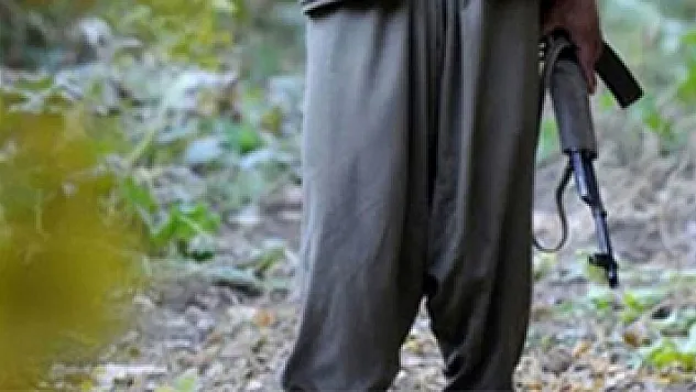 Lice'de etkisiz hale getirilen iki terörist yeşil listede