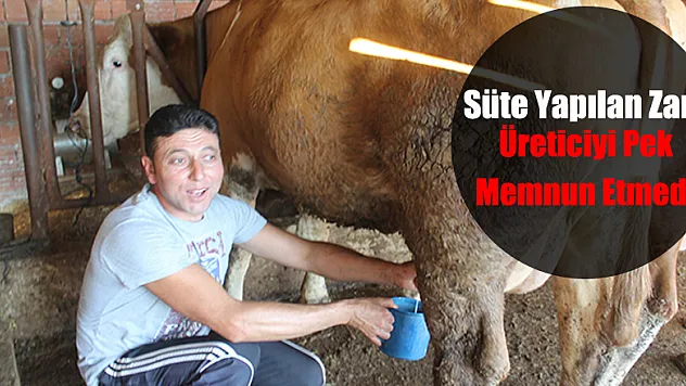 Süte yapılan zam üreticiyi memnun etmedi