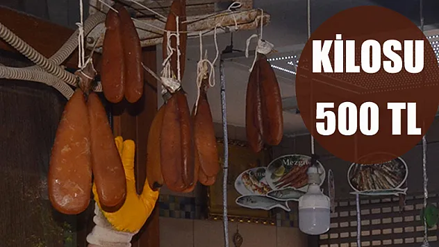 Havyarın kilosu 500 lira