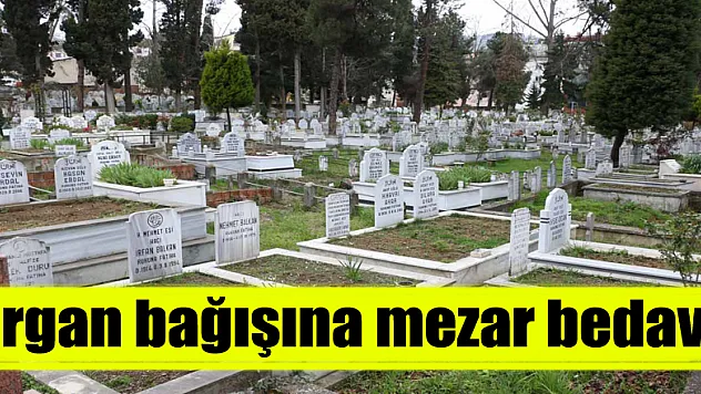 Organ bağışına mezar bedava