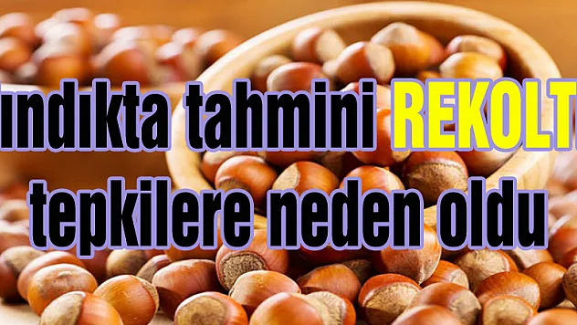 Fındıkta tahmini rekolte tepkilere neden oldu