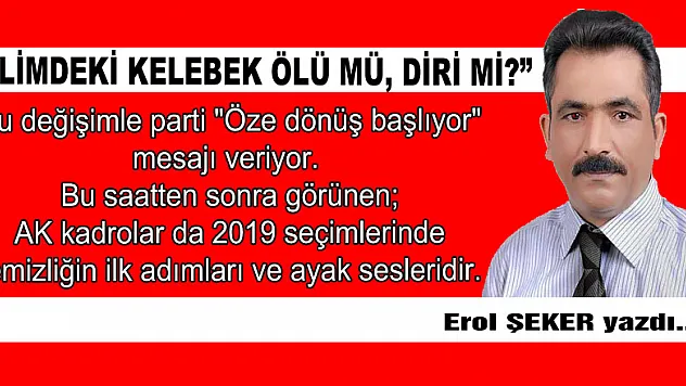 ' Elimdeki kelebek ölü mü diri mi?'