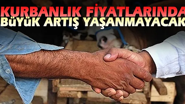 Kurbanlık Fiyatlarında Büyük Artış Yaşanmayacak
