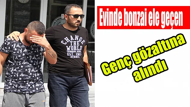 Evinde bonzai ele geçen genç gözaltına alındı