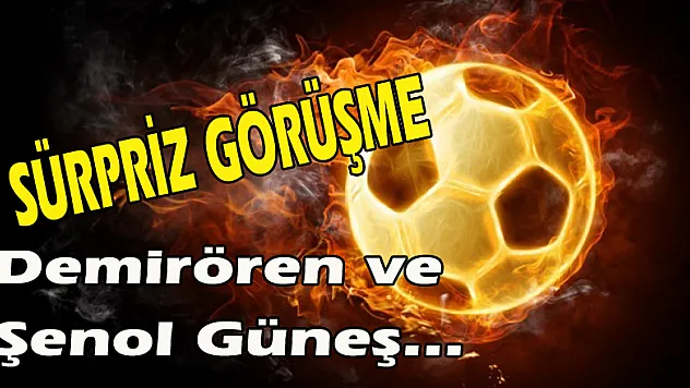 sürpriz görüşme  Demirören, Şenol Güneş