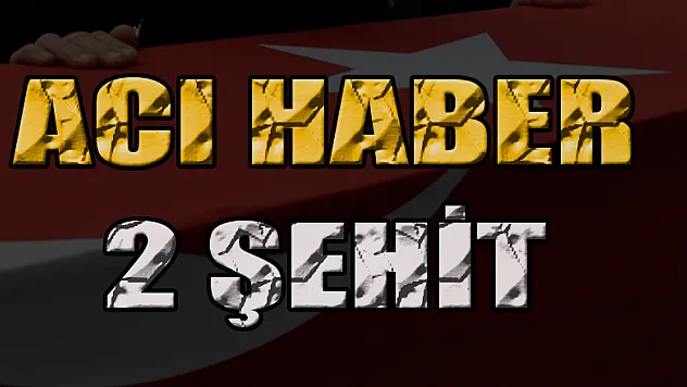 Lice'de askeri aracın geçişi sırasında patlama: 2 şehit