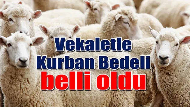 Vekaletle Kurban Bedeli belli oldu