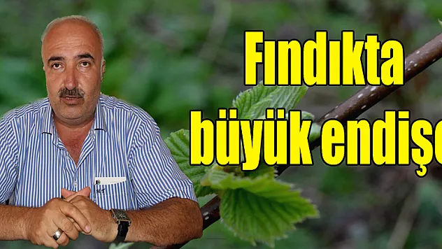 Fındıkta büyük endişe