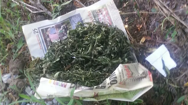 Bafra'da uyuşturucu operasyonu