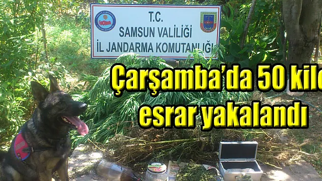 Çarşamba'da 50 kilo esrar yakalandı