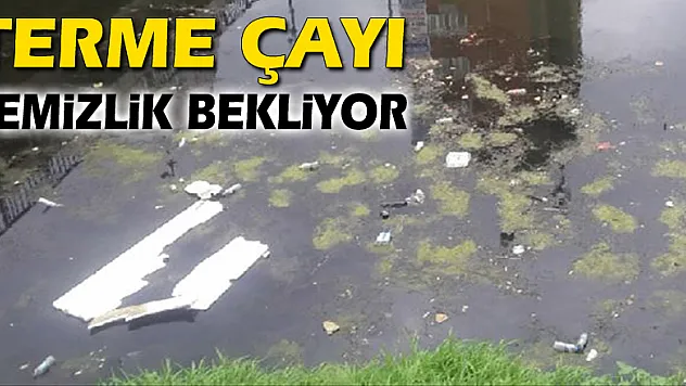 TERME ÇAYI TEMİZLİK BEKLİYOR