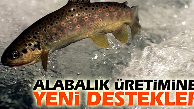 Alabalık üretimine yeni destekler