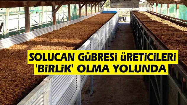 Solucan gübresi üreticileri 'birlik' olma yolunda