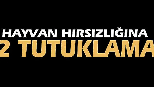 Samsun'da hayvan hırsızlığına 2 tutuklama