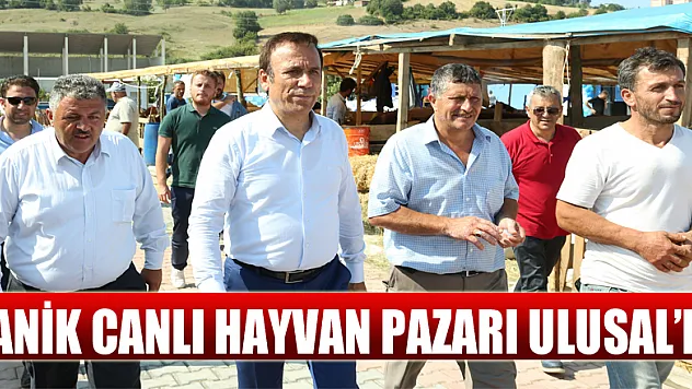 Canik Canlı Hayvan Pazarı Ulusal'da
