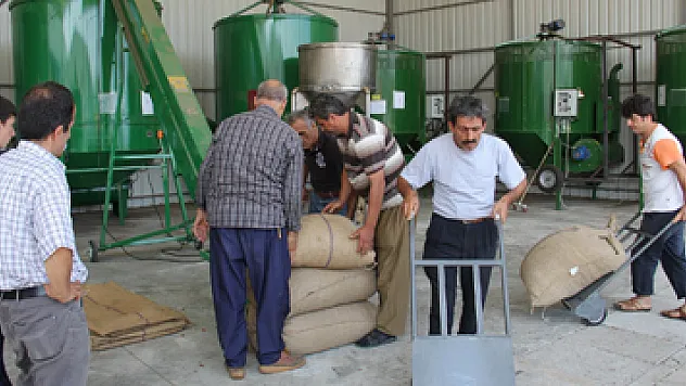 Yağmur, fındık kurutma makinelerine talebi arttırdı