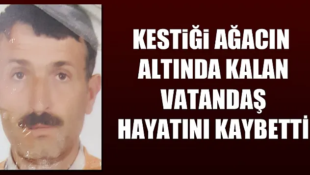 Kestiği ağacın altında kalan vatandaş hayatını kaybetti