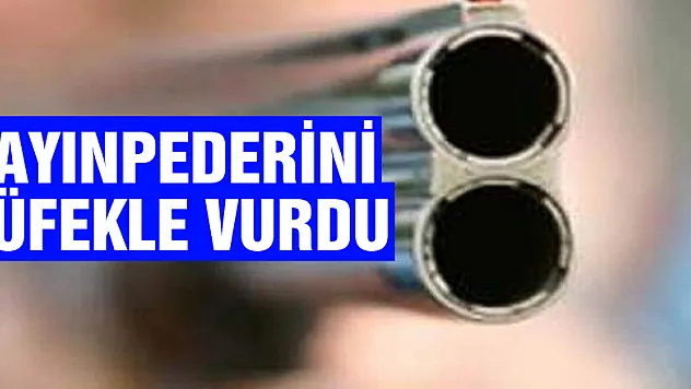Kayınpederini tüfekle vurdu