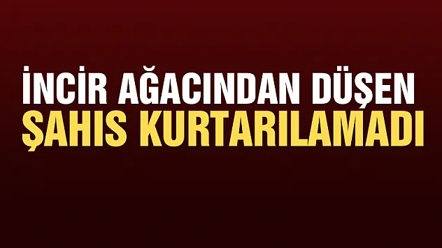 İncir ağacından düşen şahıs kurtarılamadı
