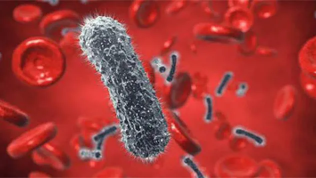 Hepatit C tedavisinde başarı oranı arttı