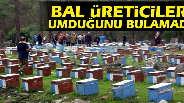Bal üreticileri umduğunu bulamadı