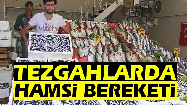 Tezgahlarda hamsi bereketi
