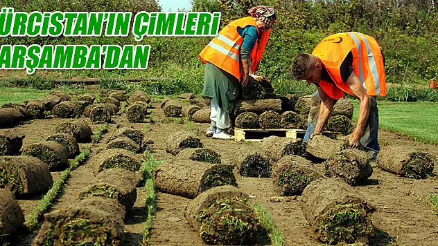 Gürcistan'ın stat çimleri Samsun'dan