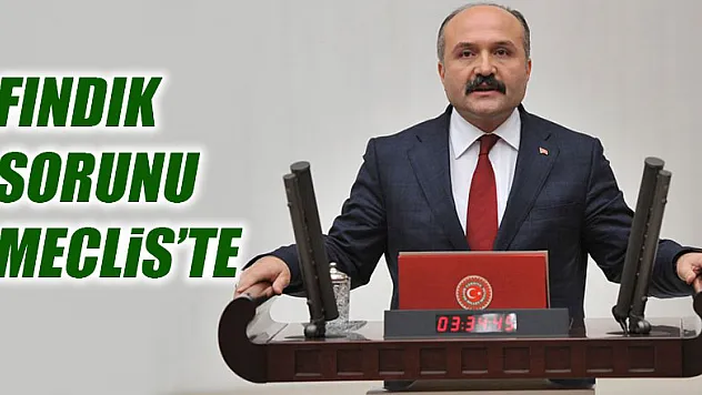 Fındık Sorunu meclis'te