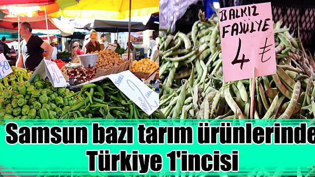 Samsun bazı tarım ürünlerinde Türkiye 1'incisi 