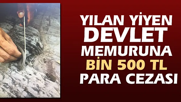 Yılan yiyen devlet memuruna bin 500 TL para cezası
