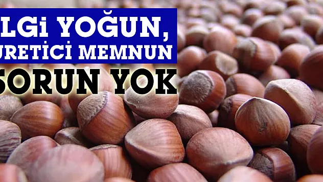 Terme´ de Fındık Alımlarında Sorun Yok