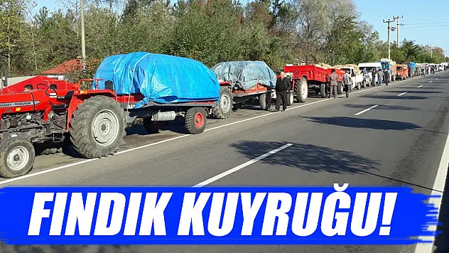 FINDIK KUYRUĞU!